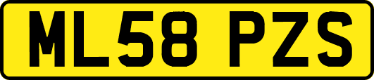 ML58PZS