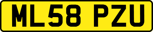 ML58PZU