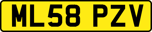 ML58PZV