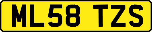 ML58TZS