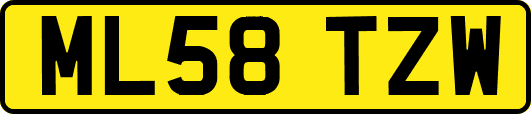 ML58TZW