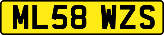 ML58WZS