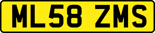 ML58ZMS