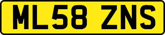 ML58ZNS