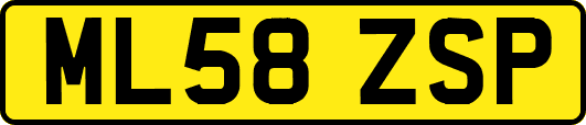ML58ZSP