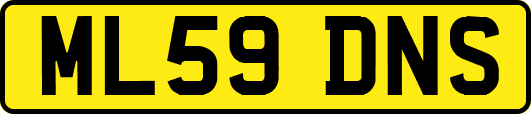 ML59DNS