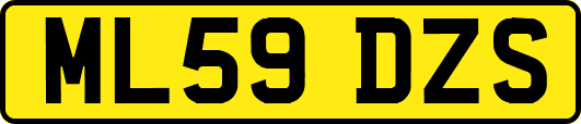 ML59DZS