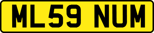 ML59NUM