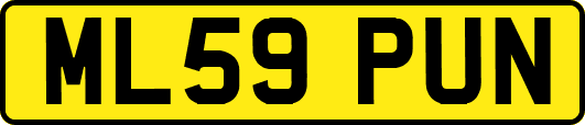 ML59PUN
