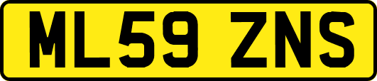 ML59ZNS
