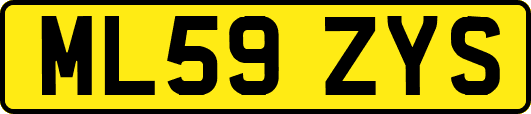 ML59ZYS