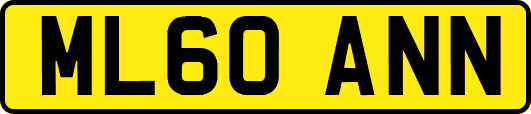 ML60ANN