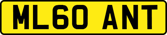 ML60ANT