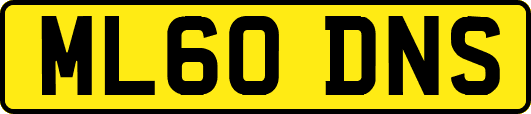ML60DNS