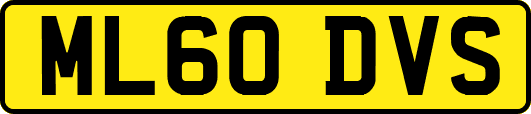 ML60DVS