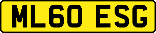 ML60ESG