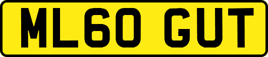 ML60GUT
