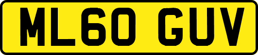ML60GUV