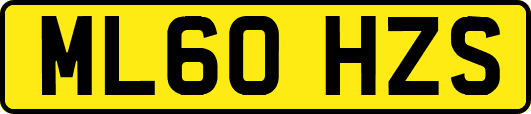 ML60HZS
