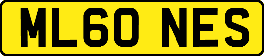 ML60NES