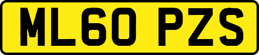 ML60PZS