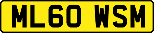 ML60WSM