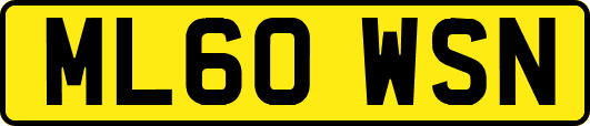 ML60WSN