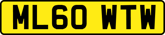 ML60WTW