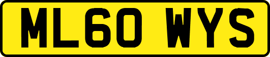 ML60WYS