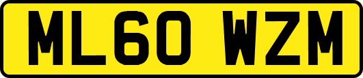 ML60WZM