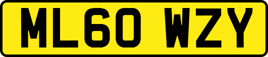 ML60WZY