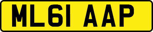 ML61AAP