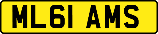 ML61AMS