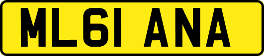 ML61ANA