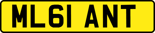 ML61ANT