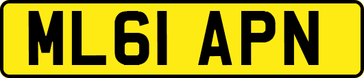 ML61APN