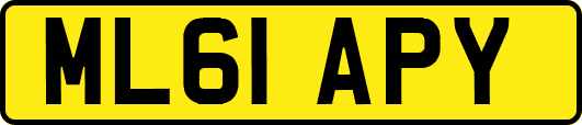 ML61APY
