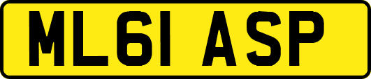 ML61ASP