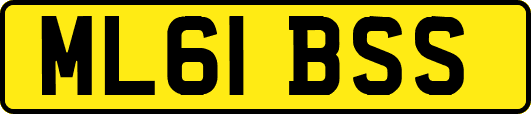 ML61BSS