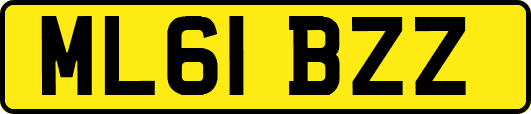 ML61BZZ