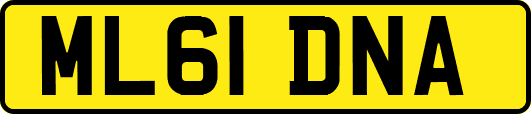 ML61DNA