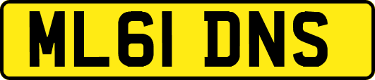 ML61DNS