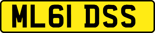 ML61DSS