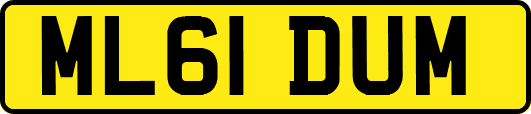 ML61DUM