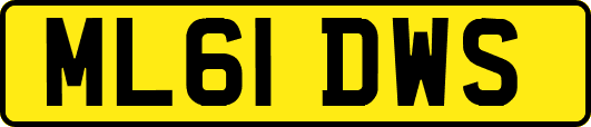 ML61DWS
