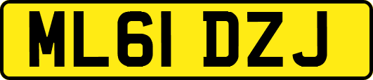 ML61DZJ