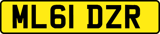 ML61DZR