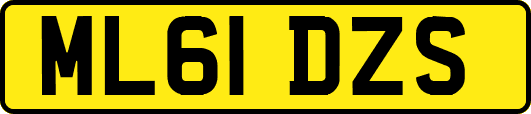 ML61DZS
