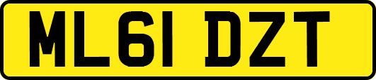 ML61DZT