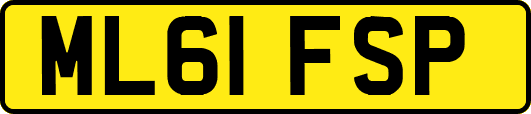 ML61FSP